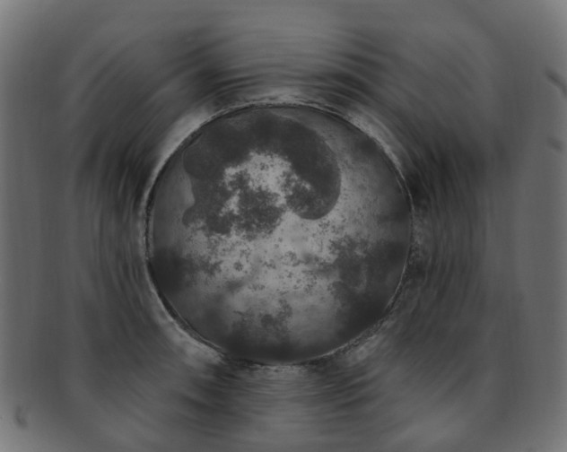 X0000092321090200709141408