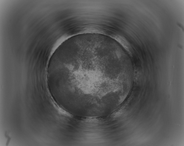 X0000092321094200709141408