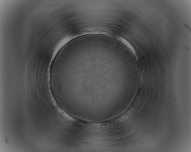 X0000092321096200709141408