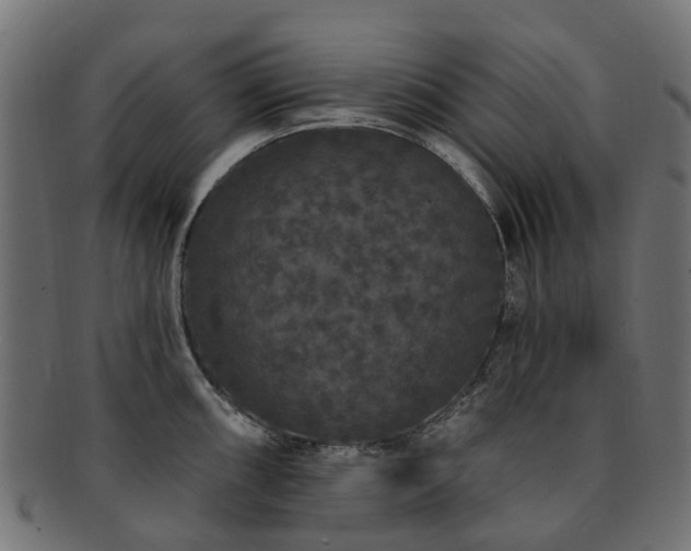 X0000092321098200709141408