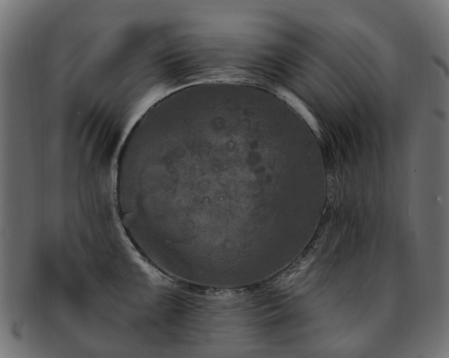 X0000092321099200709141408