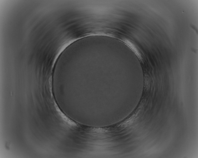 X0000092321100200709141408