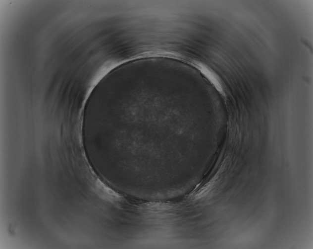 X0000092321102200709141408