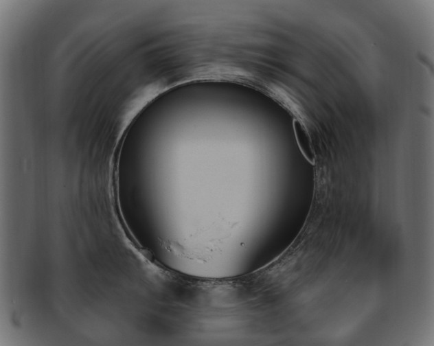 X0000092321103200709141408