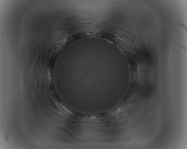X0000092321106200709141407