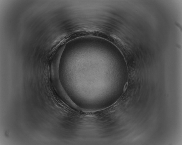 X0000092321110200709141408