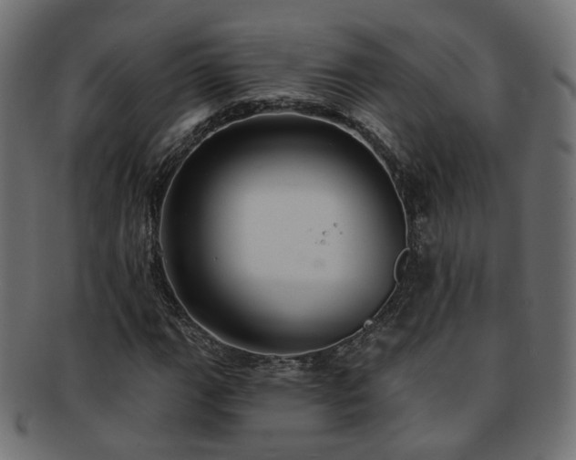 X0000092321111200709141408