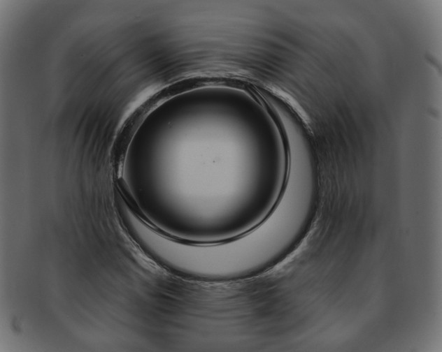 X0000092321114200709141408