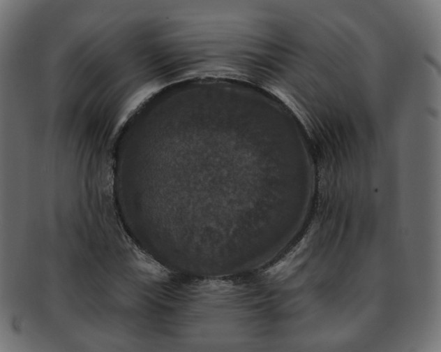 X0000092321115200709141408