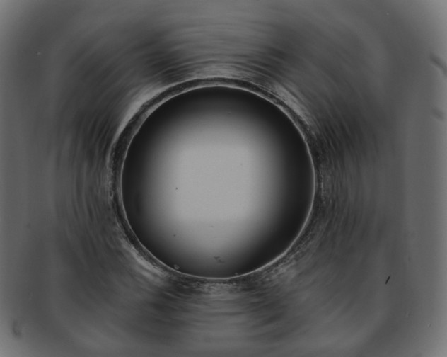 X0000092321116200709141408