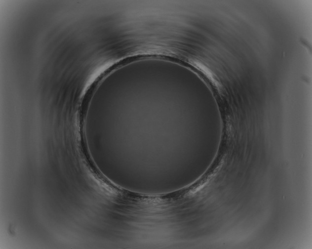X0000092321120200709141408