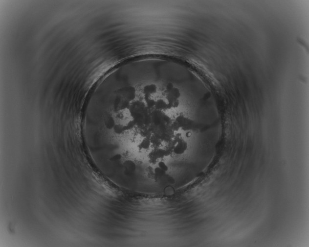 X0000092321121200709141408