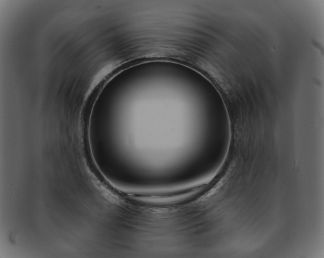 X0000092321122200709141408