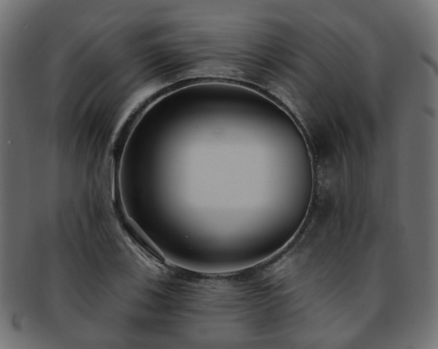 X0000092321123200709141408