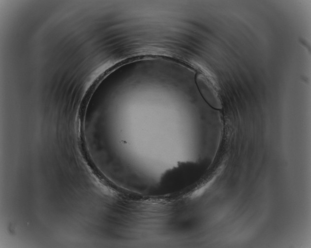 X0000092321125200709141408