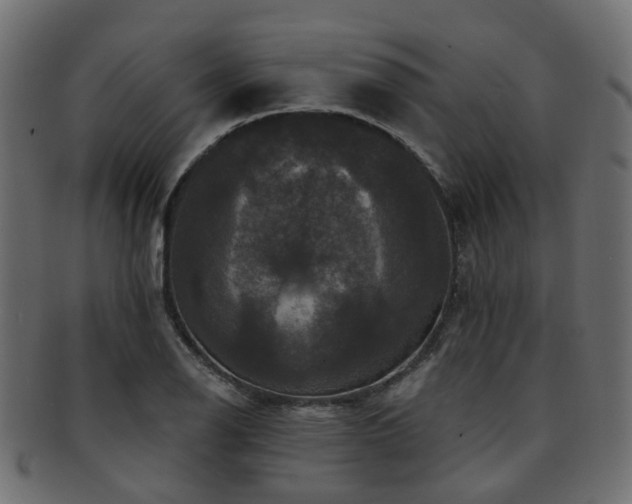 X0000092321126200709141408