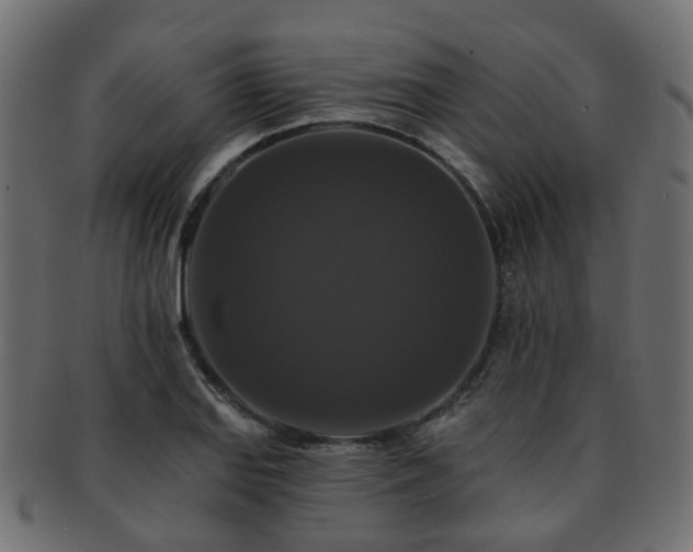 X0000092321127200709141408
