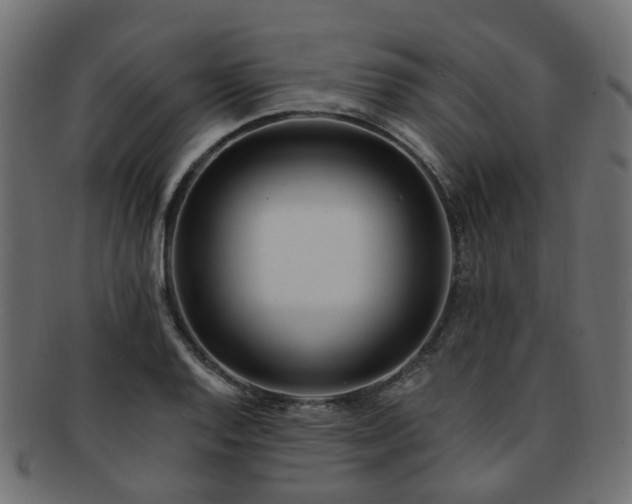 X0000092321128200709141408