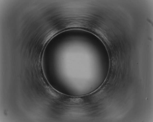 X0000092321129200709141408