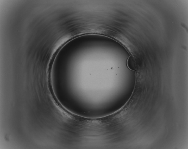 X0000092321135200709141408