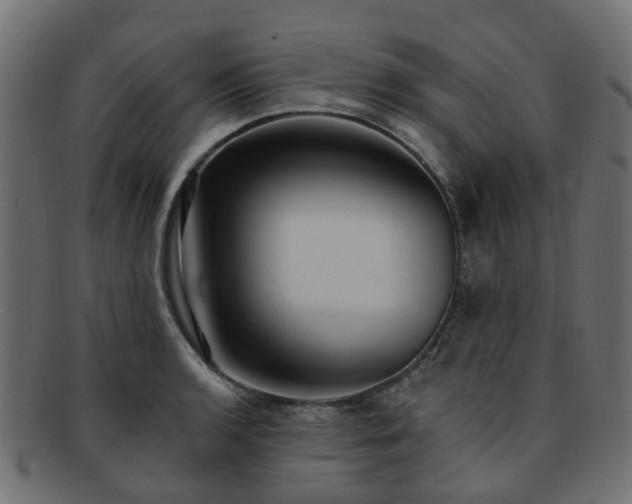 X0000092321136200709141408