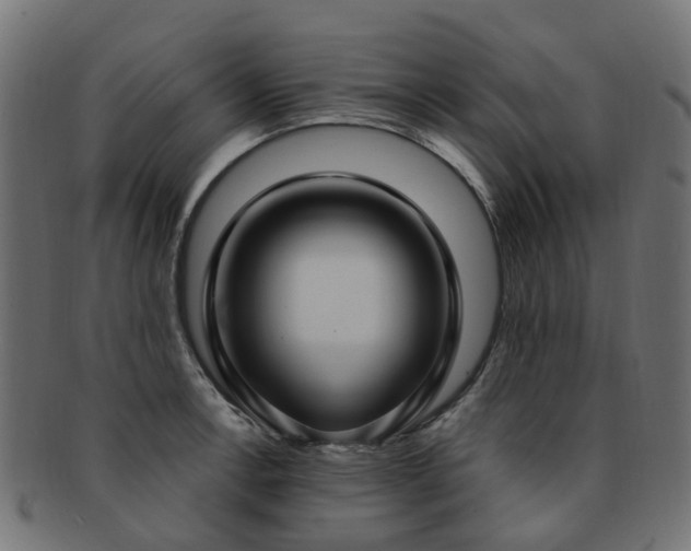 X0000092321138200709141408