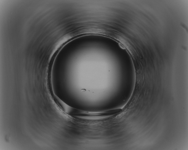 X0000092321139200709141408