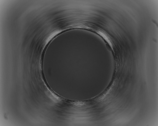 X0000092321141200709141408