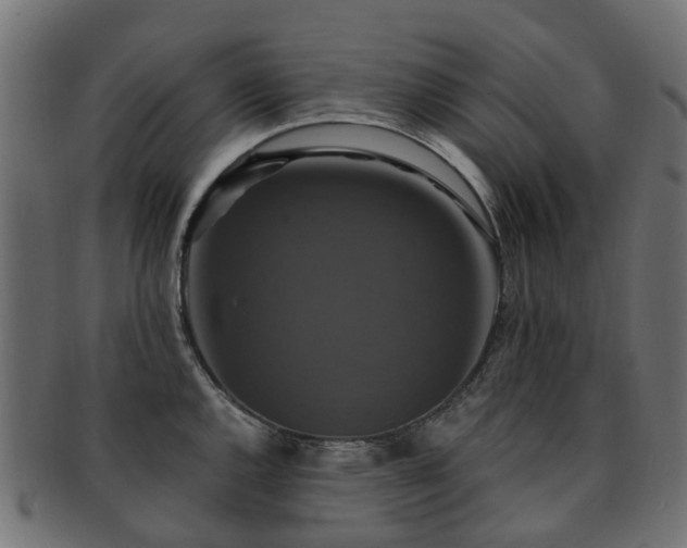 X0000092321144200709141408