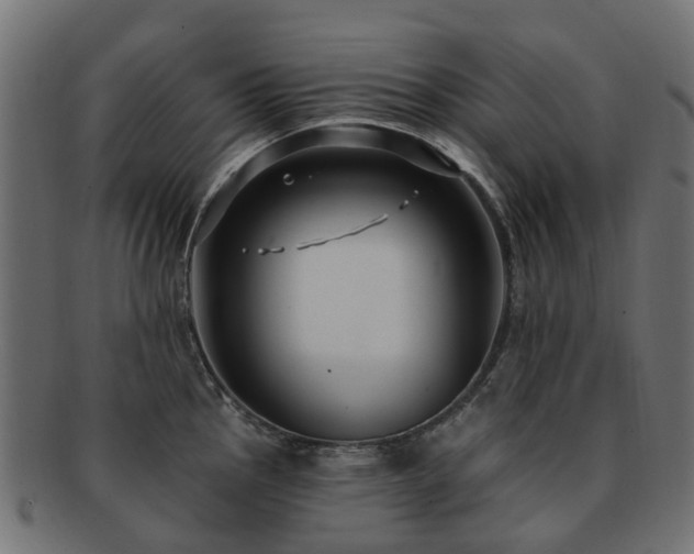 X0000092321145200709141408