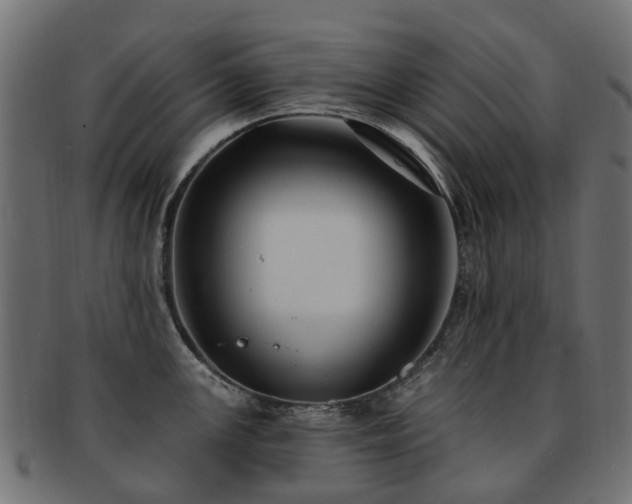 X0000092321147200709141408