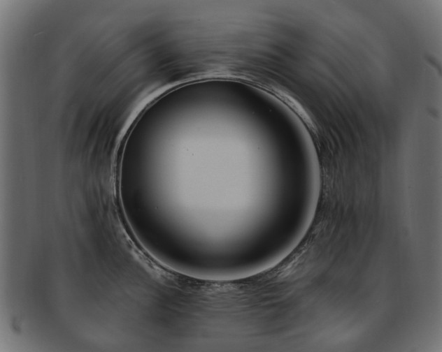 X0000092321148200709141408