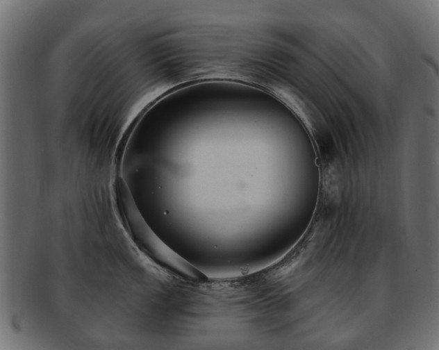 X0000092321149200709141408