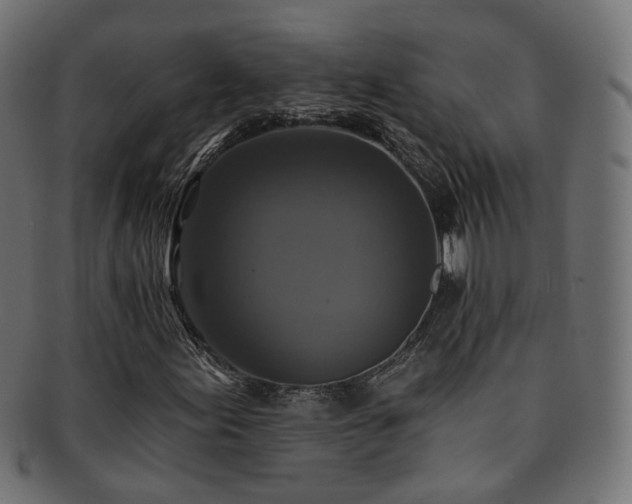 X0000092321155200709141407