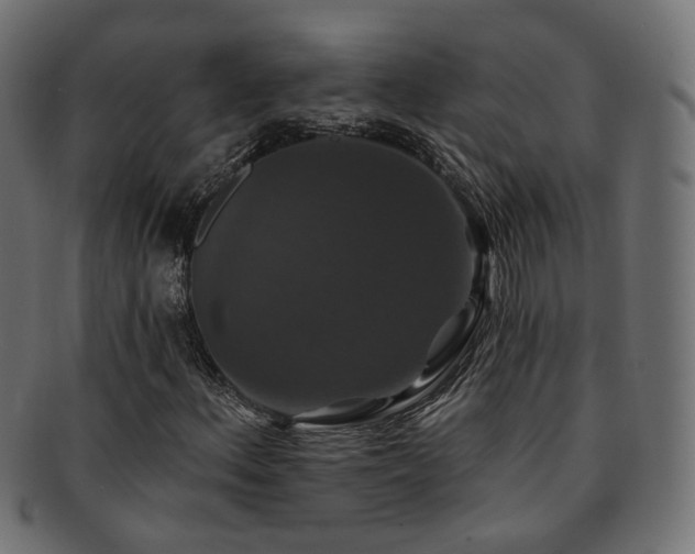 X0000092321156200709141407
