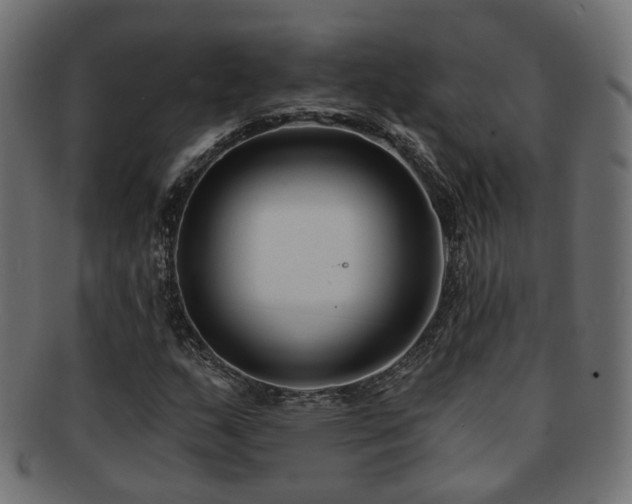 X0000092321159200709141407