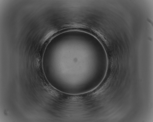 X0000092321163200709141407
