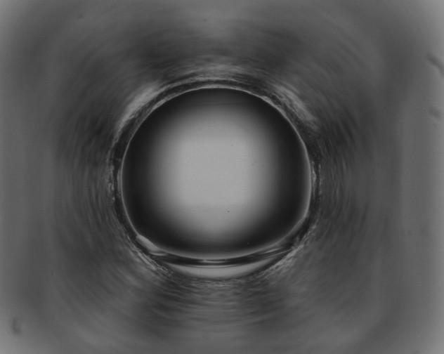 X0000092321164200709141407