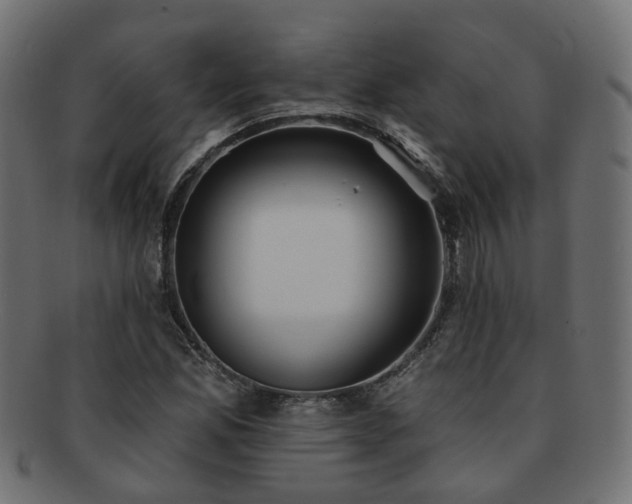 X0000092321165200709141407