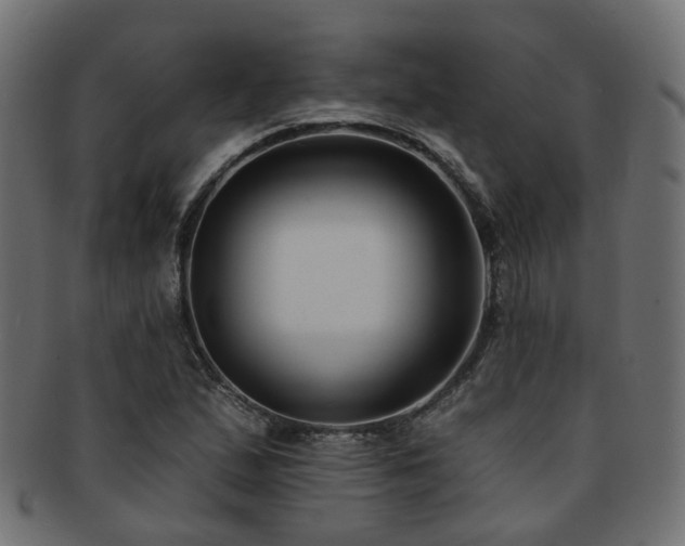 X0000092321167200709141407