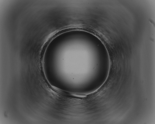 X0000092321168200709141407