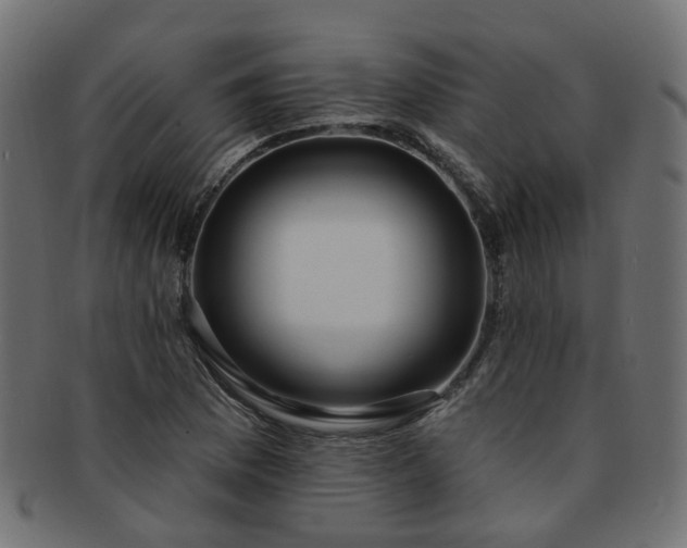 X0000092321169200709141407