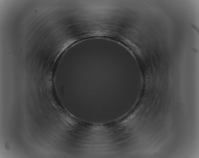 X0000092321170200709141407