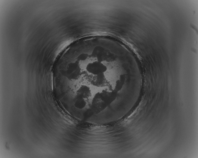 X0000092321171200709141407