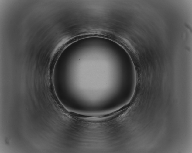 X0000092321172200709141407