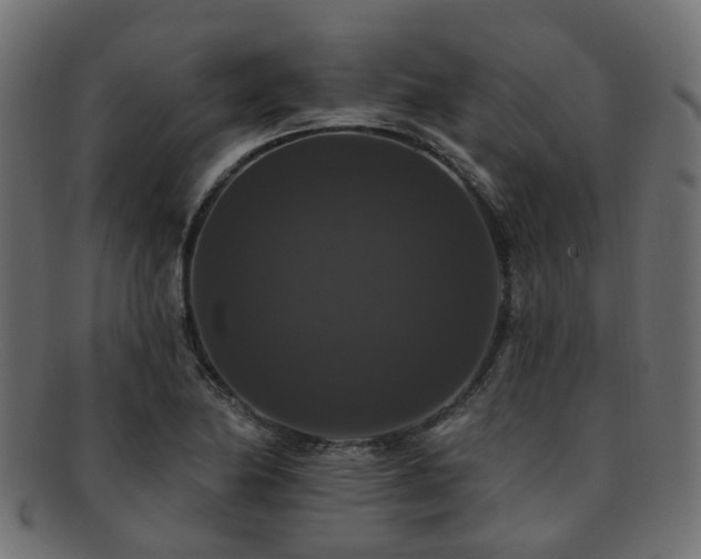 X0000092321174200709141407