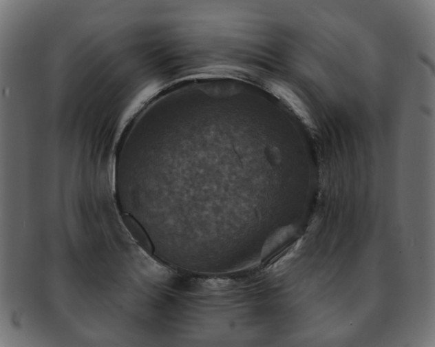 X0000092321180200709141407