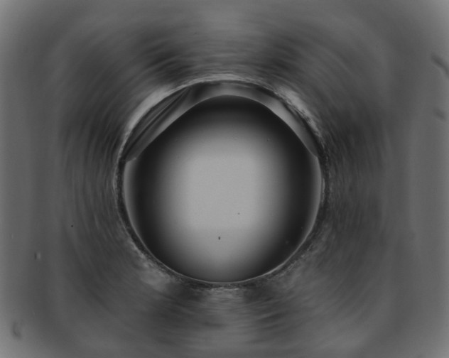 X0000092321181200709141407