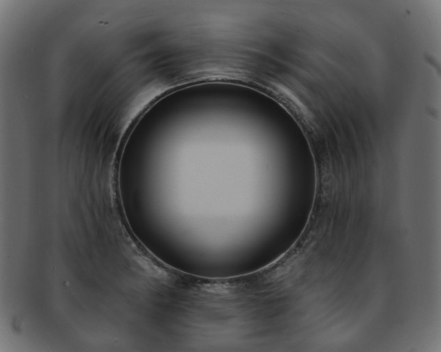 X0000092321182200709141407