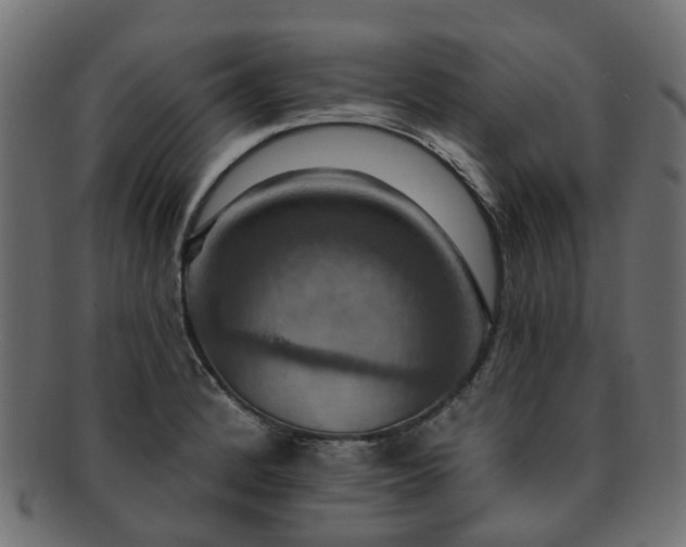 X0000092321184200709141407